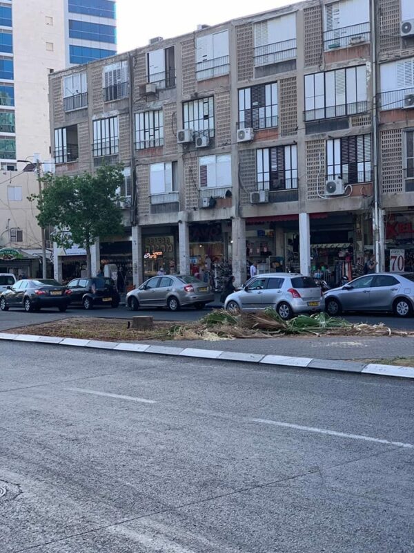 Trees cut to the stump in Bat Yam 1