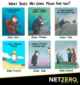what net zero means for you